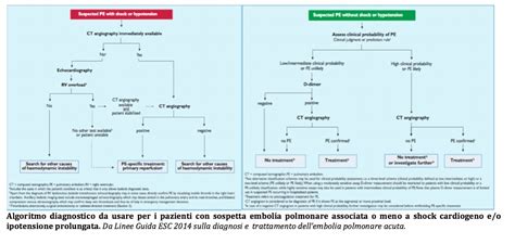 diagramma trattamento anti-coagulante TVP