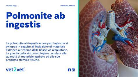 diagramma infiltrati polmonari polmonite ab ingestis