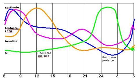 grafico orari allenamento circadiani (7-19)