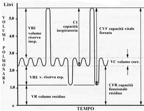 spirometria: grafico e strumenti