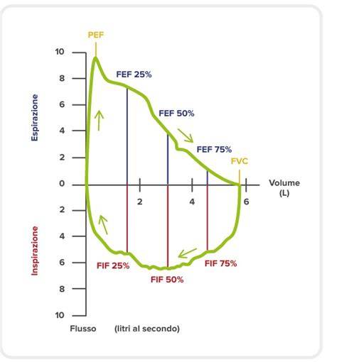 grafico spirometria, flussi d'aria
