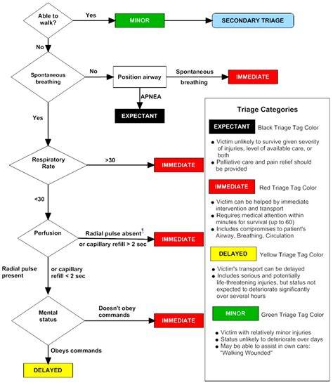 schema triage EGA emergenza