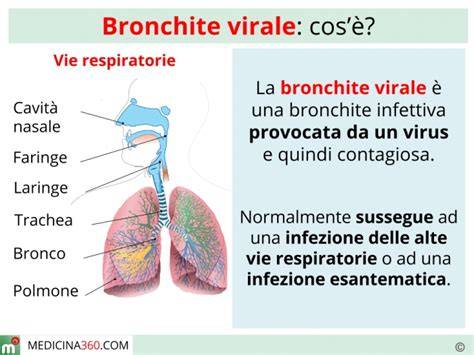 mappa infografica sulle differenze bronchite virale batterica