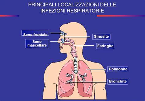 mappa delle infezioni respiratorie e uso mucolitico