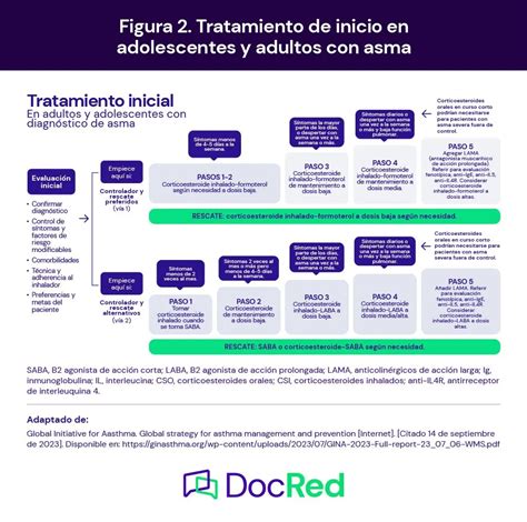 diagramma uso terapia asma
