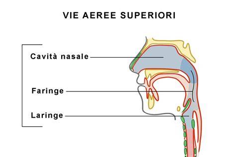 diagramma MAD e vie aeree
