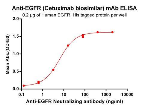 infografica sull’EGFR e cetuximab