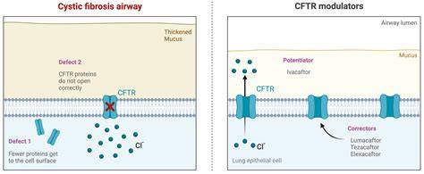 CFTR modulators e gestione terapeutica