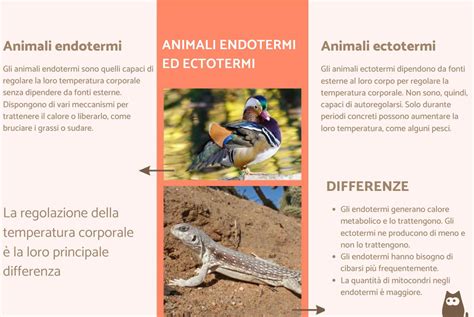 confronto tra endotermi ed ectotermi