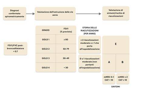 Schema delle linee guida sull’asma grave