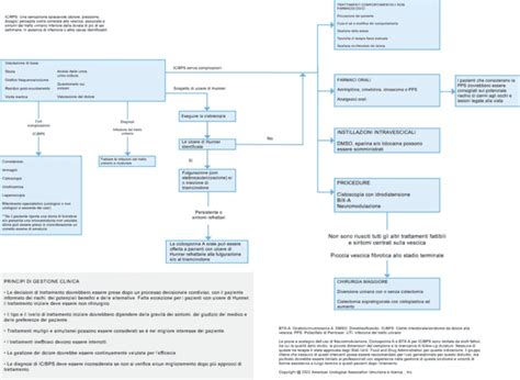 linee guida trattamento aplasia midollare