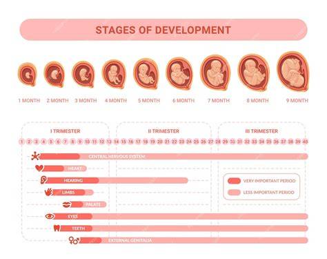 crescita melanomacchie gravidanza (infografica)