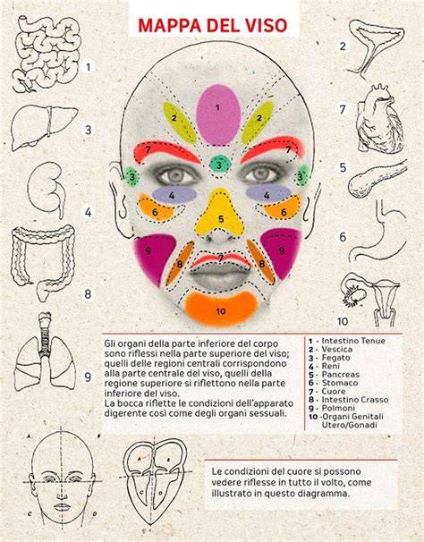 diagramma zone viso interessate cloasma