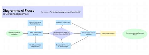 espettorato e campionamento per esame batteriologico (diagramma di flusso)