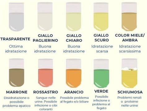 grafico colori catarro e significati