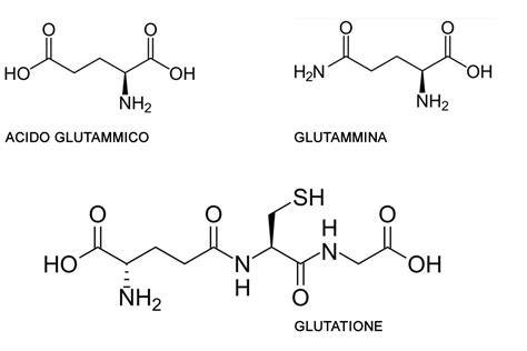 formulazioni-glutammina-e-allenamento