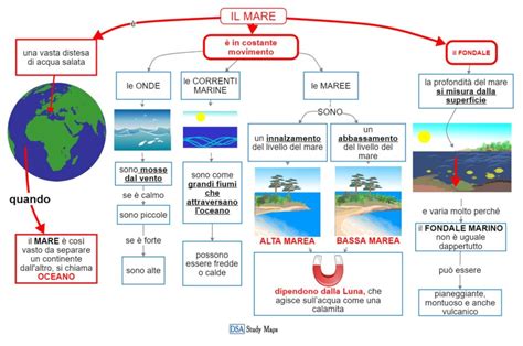 schemi concettuali apnee mare e respiro
